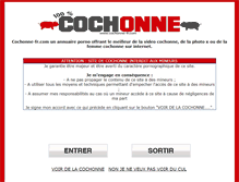 Tablet Screenshot of cochonne-fr.com